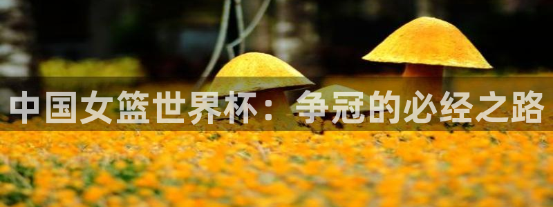 世界杯预选赛赛程表:中国女篮世界杯:争冠的必经之路