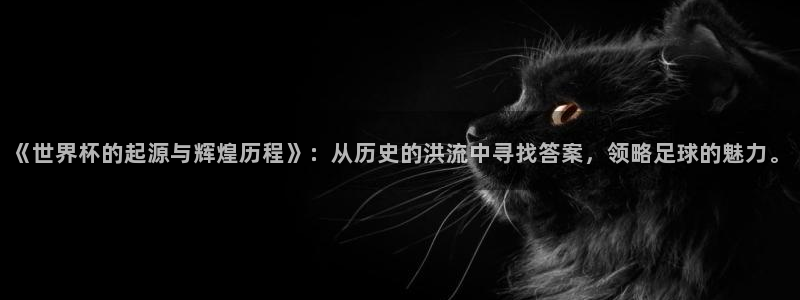 世界杯2026赛程表:《世界杯的起源与辉煌历程》:从历史的洪流中寻找答案,领略足球的魅力。