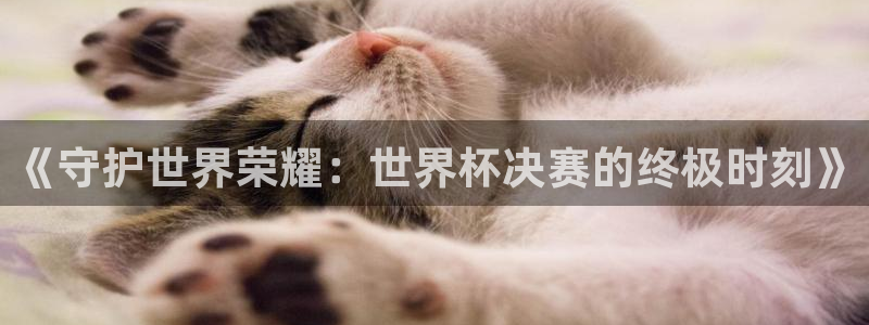 2026世界杯买球:《守护世界荣耀:世界杯决赛的终极时刻》