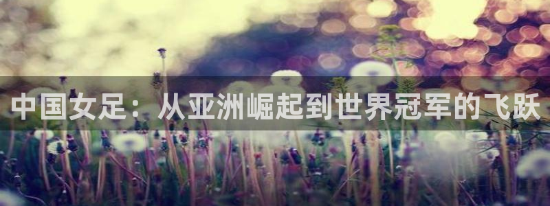 世界杯足球2026:中国女足:从亚洲崛起到世界冠军的飞跃