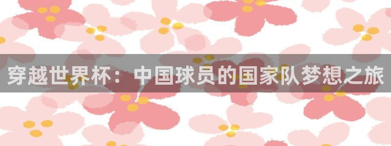 世界杯足球赛2026:穿越世界杯:中国球员的国家队梦想之旅