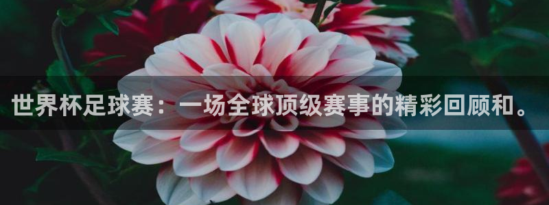 2026世界杯德国队阵容:世界杯足球赛:一场全球顶级赛事的精彩回顾和。