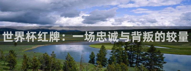 2026年男足世界杯:世界杯红牌:一场忠诚与背叛的较量