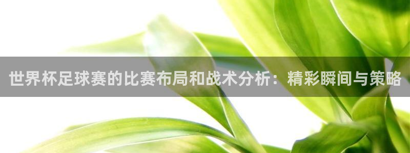 2026 世界杯:世界杯足球赛的比赛布局和战术分析:精彩瞬间与策略