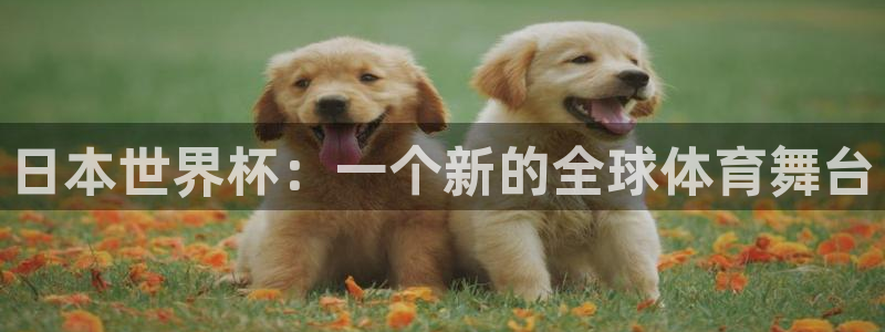 世界杯足球2026:日本世界杯:一个新的全球体育舞台