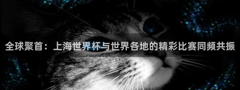 世界杯预选赛亚洲区赛程:全球聚首:上海世界杯与世界各地的精彩比赛同频共振
